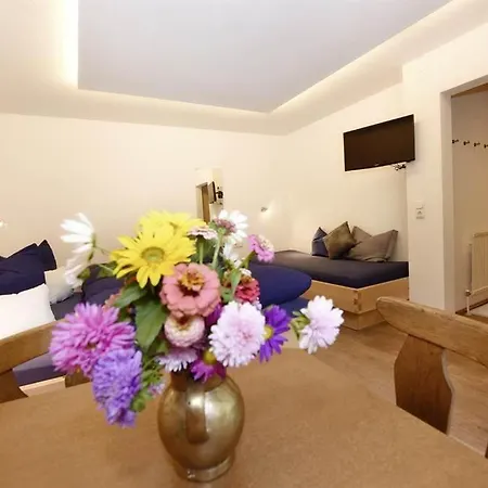 萨勒住宿加早餐旅馆 3* 加舒恩